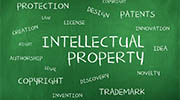 India intellectual property rights investigator